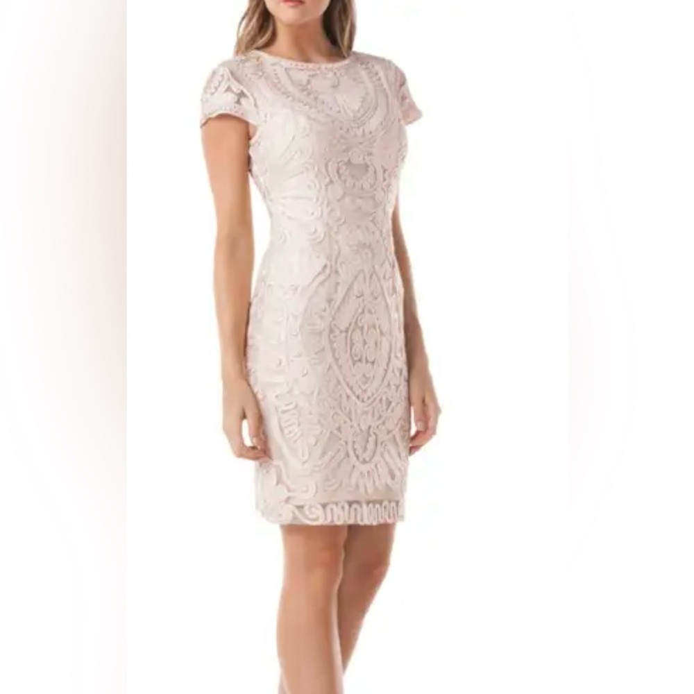 JS Collections Blush Embroidered Midi Dress